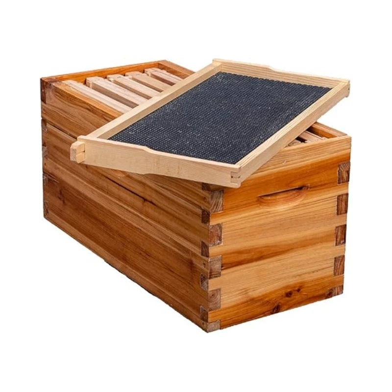 Langstroth Beekeeping Waxed Foundations 5 Wooden Frame Bee Hive Box Kit with Metal Roof