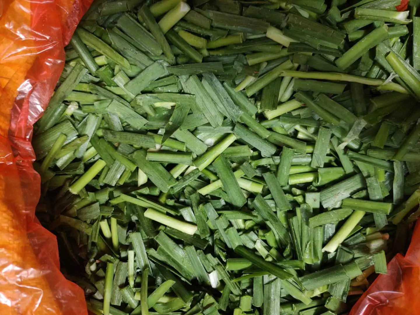 high quality cut iqf frozen chinese leek
