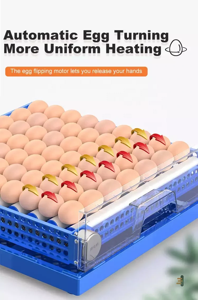 2022 new design mini drawer egg incubator fully automatic Chicken Eggs Incubator Machine 64 eggs(whatsapp:+86 15965977837)