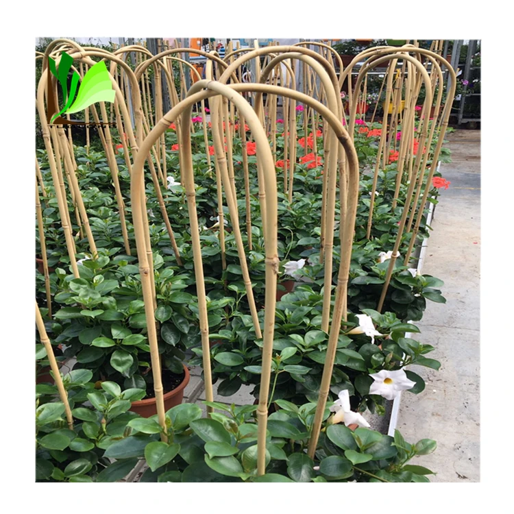 Wholesale Natural Garden Bamboo Trellis