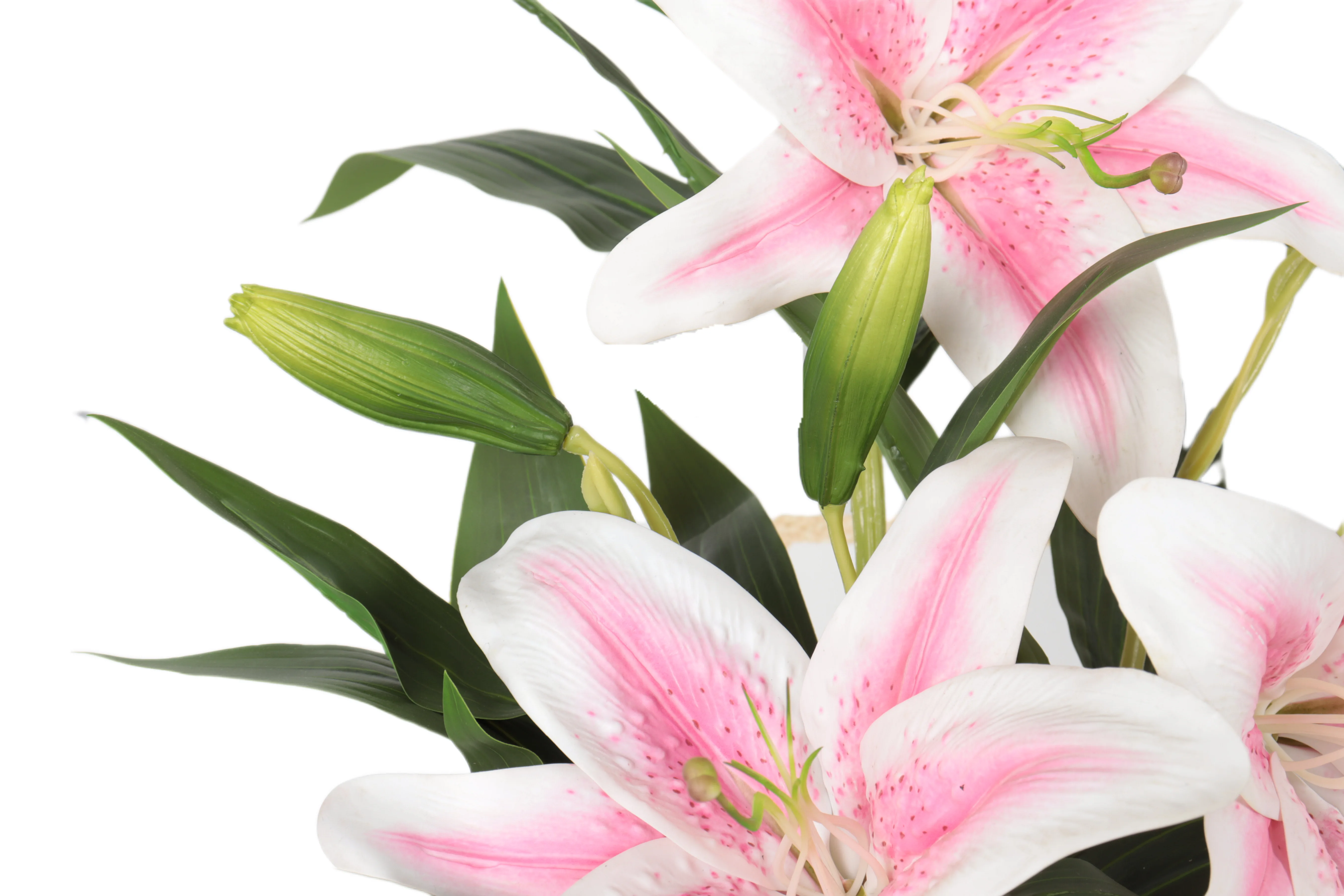 2021-11-28 145421.jpg