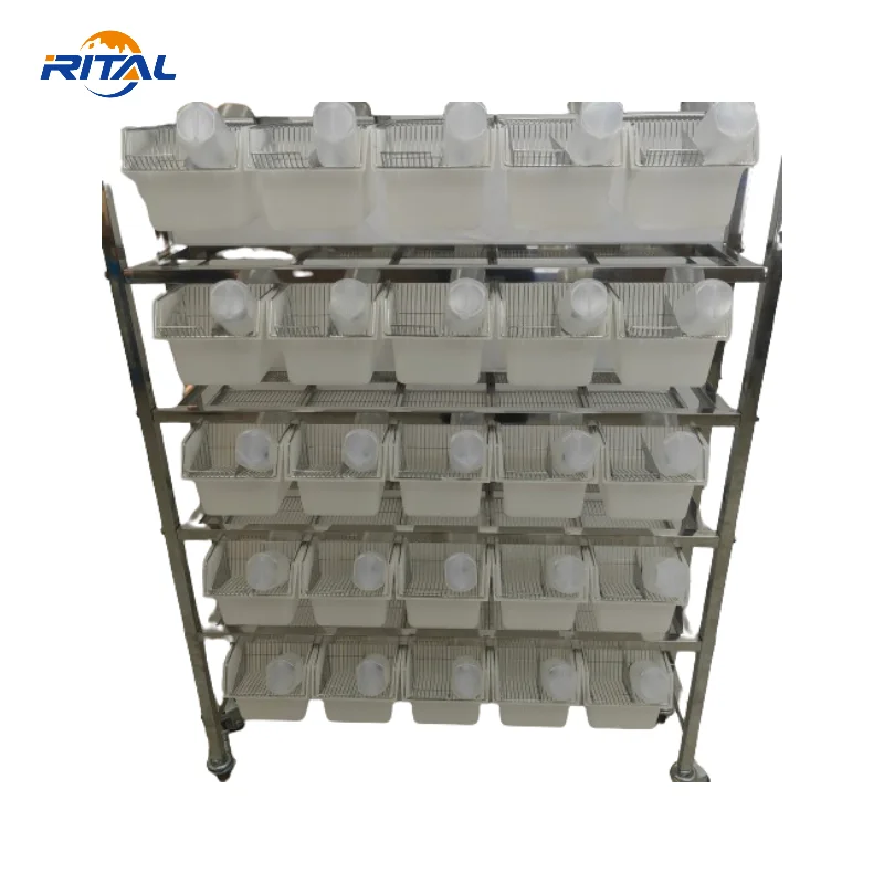 Wholesales PP plastic mouse feeding M2 rodent breeding rat cages with rack for mice rat breeding