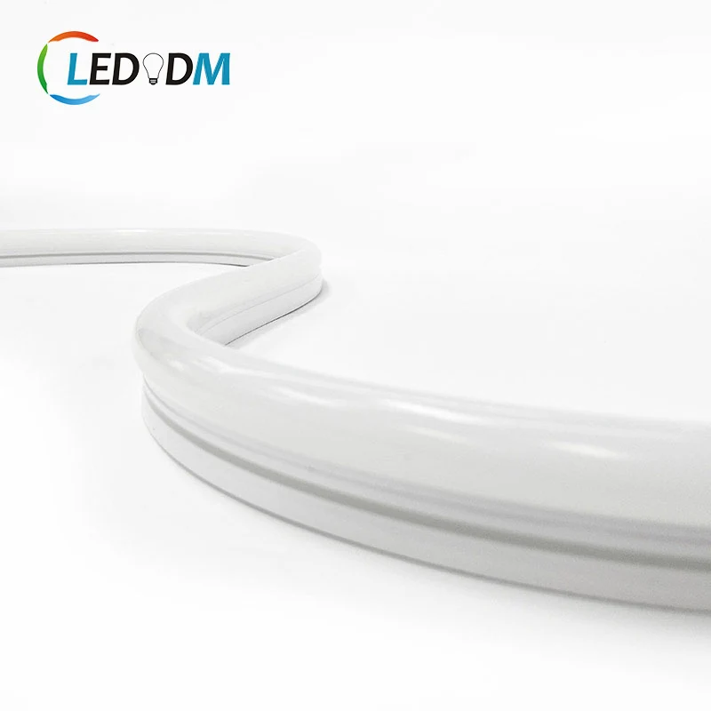 Dc24v 12*25mm silicone neon light white rgb rgbw rgbCCT color changing flex neon light waterproof silicone neon led