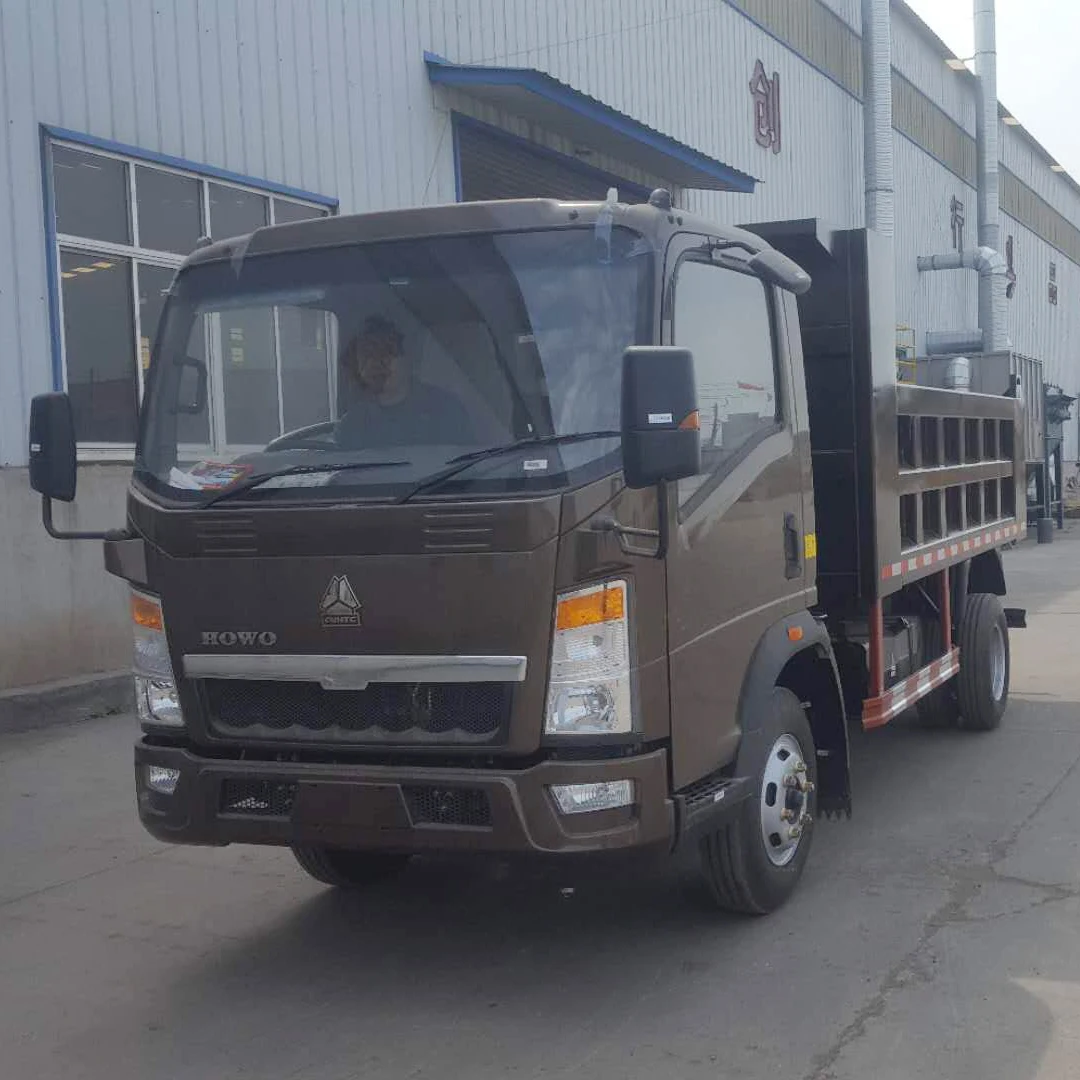 SINOTRUK Mini Truck HOWO 4x4 LHD 5 Tons Light Dump Truck for Sale