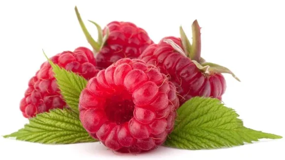 
Weight Loss Powder With High Purity and Best Price CAS No.5471-51-2 Raspberry Ketone 