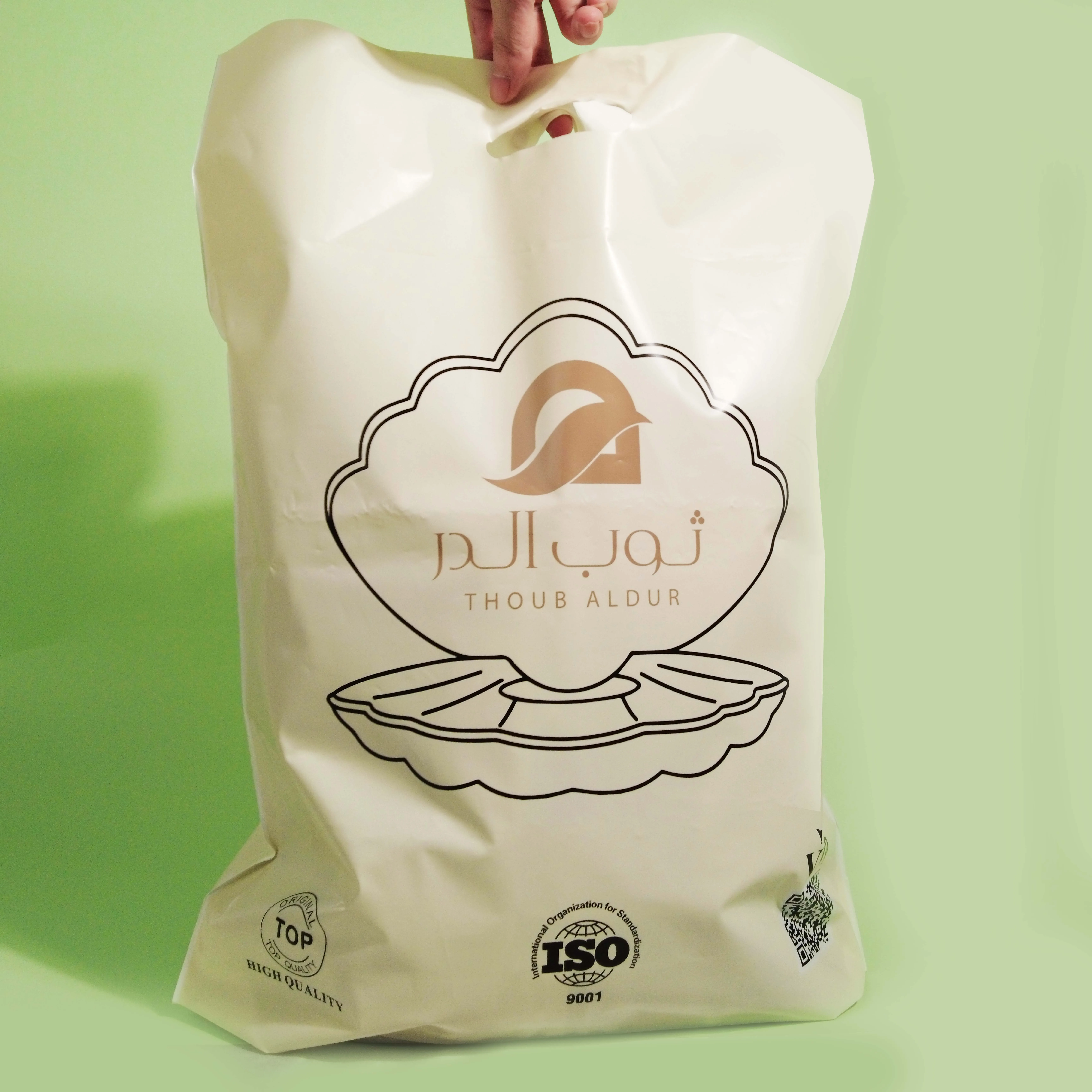 Best Selling Biodegradable Plastic Bags With Logo Full Color Printing Luxury Die Cut Handle Plastic Shopping Bag