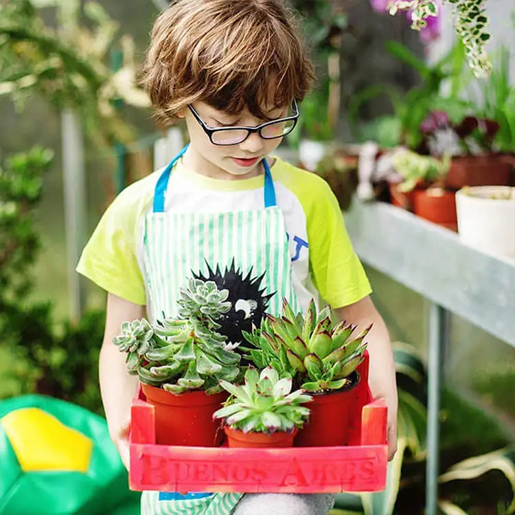 
Home Garden Plant Transplant Flowerpots Seedling Planting Nursery Flower Pots 