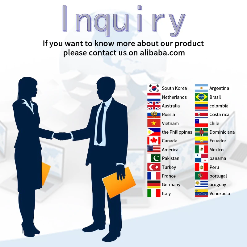 New Design Portable LED Photon Vibration Neck Care Wrinkle Removal Elimination Instrument