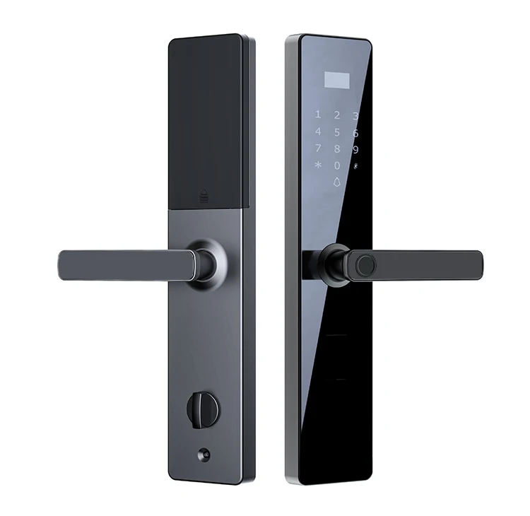 Laiu L2  fingerprint password unlock smart lock body 6068 keyless entry door lock for wifi remote