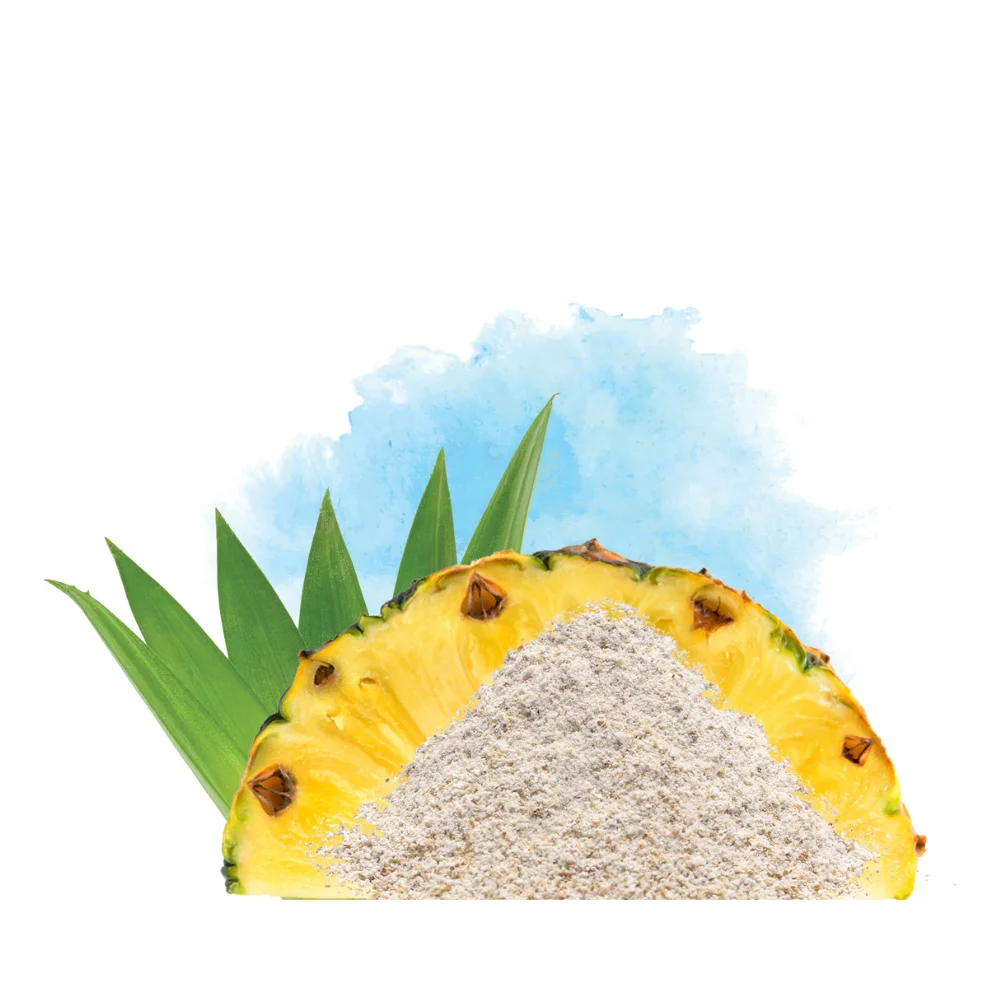 DOLE High Quality Pineapple Fiber Powder Dietary Fiber Probiotic Hot sell Non GMO Hot Selling Cheap Fiber Baking Powder