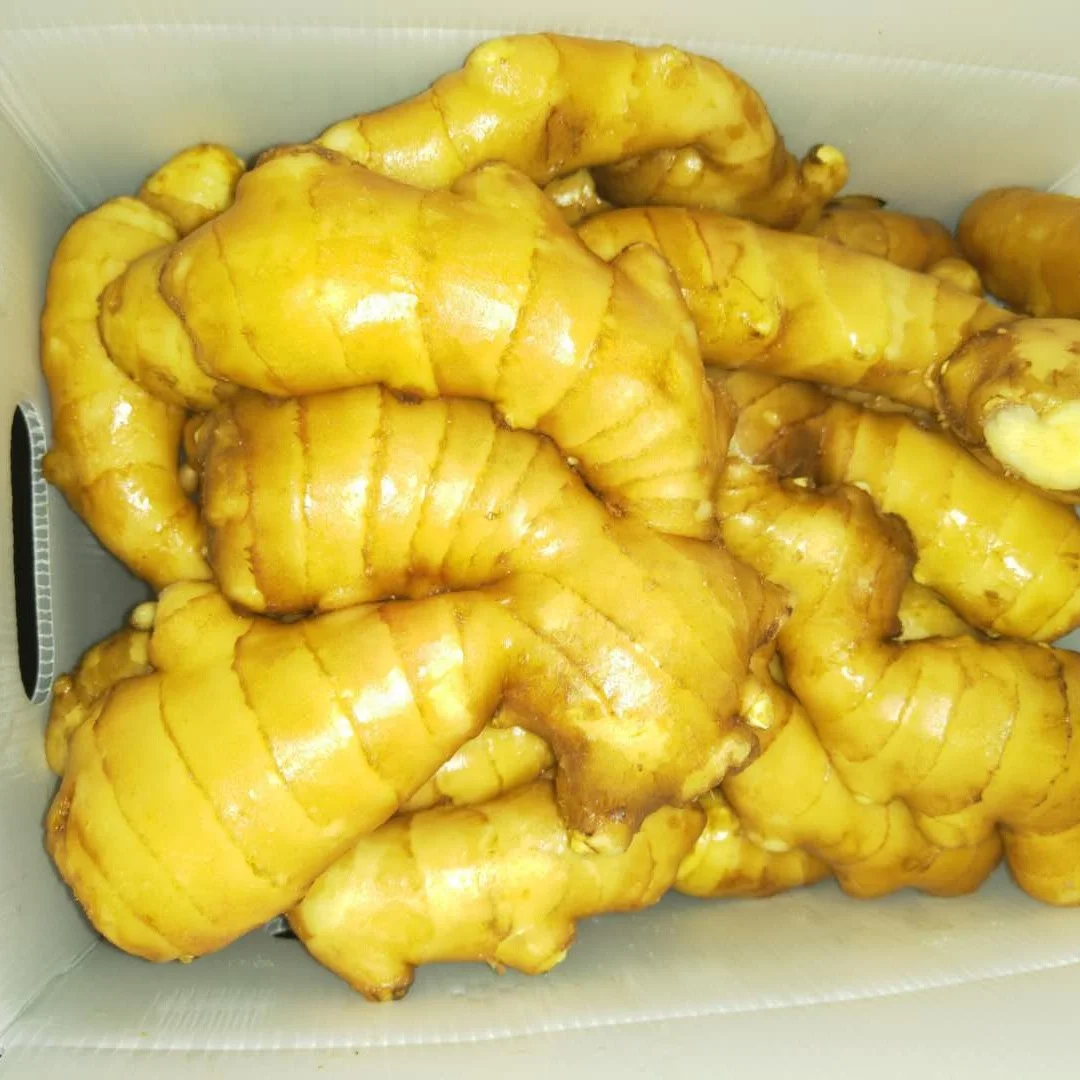 Raw Ginger Made in China Export Clear Dried Air Ginger China