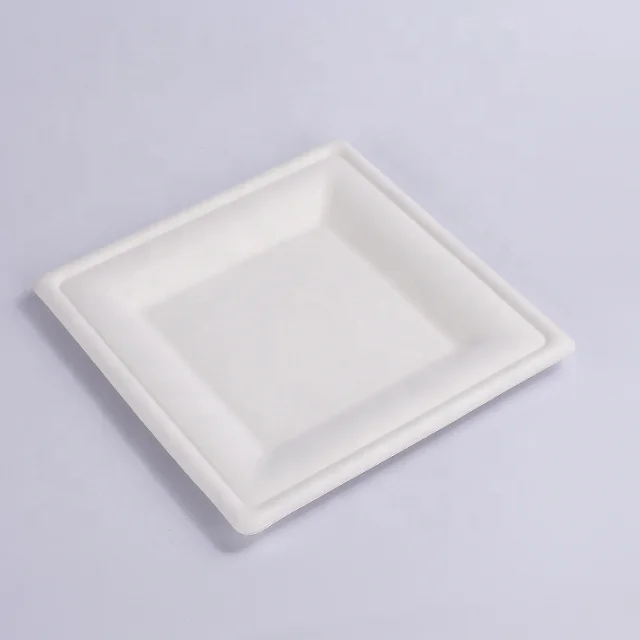 Biodegradable tableware sugarcane bagasse 10inch round plate