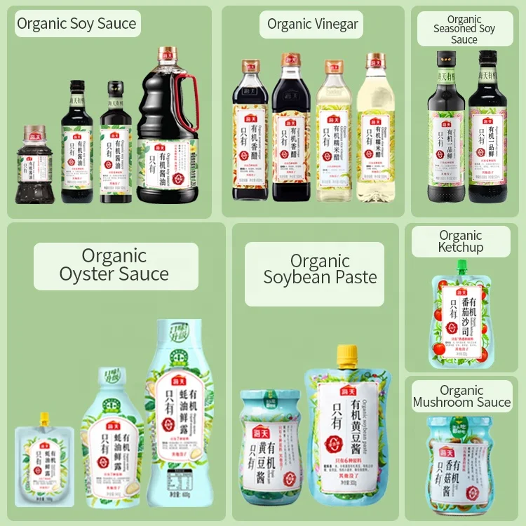305g Organic ketchup condiment BPA free squeeze bag tamato seasoning paste organic tomato ketchup sauce