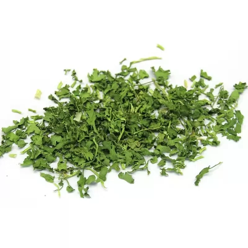 Food Grade AD Vegetables Coriander Leaves Single Herbs & Spices Green Dried Leaves in Good Price 10MT/20FCL 20kg/carton 20 Kg