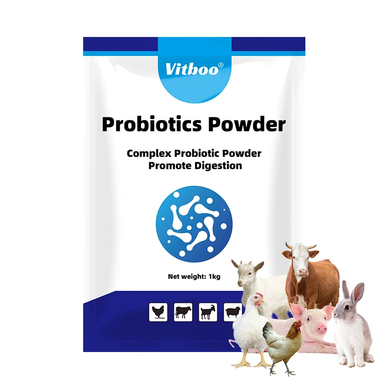Порошок пробиотика Lactobacillus plantarum Bacillus subtilis Enterococcus faecalis Clostridium butyricum Bifidobacterium WSP