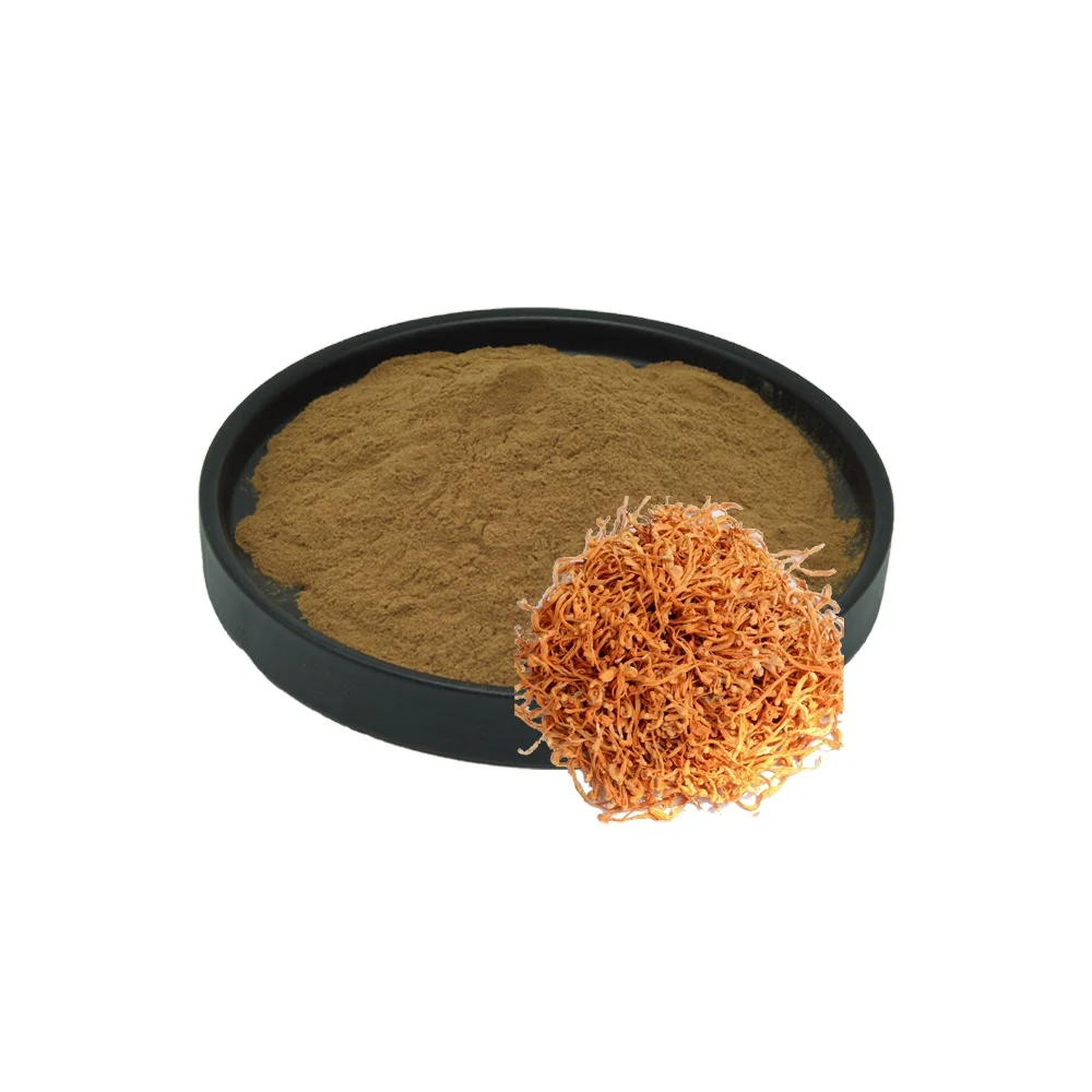 Cordycepin High Quality Cordyceps Militaris Extract 2% Cordycepin Powder
