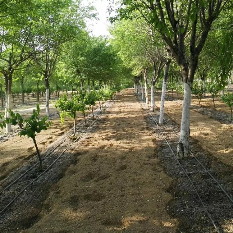 Garden Farm Automatic other Watering Irrigation System Drip Tape Tube Hose