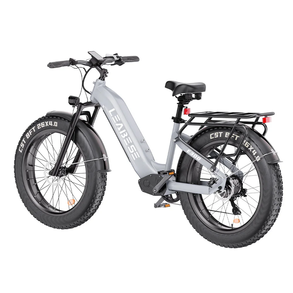 US Warehouse E Bike E-Bike Dual Motor 750w Electric Bike Adult Strong Power Electric Bicycle City Ebike