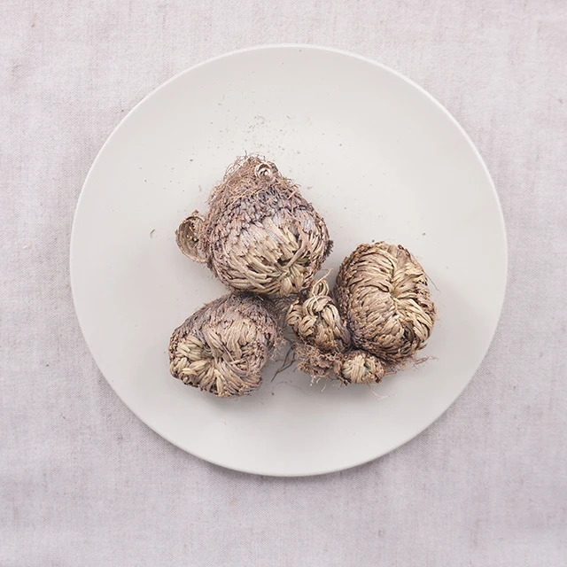  High Quality Dried Selaginella tamariscina Chinese herb
