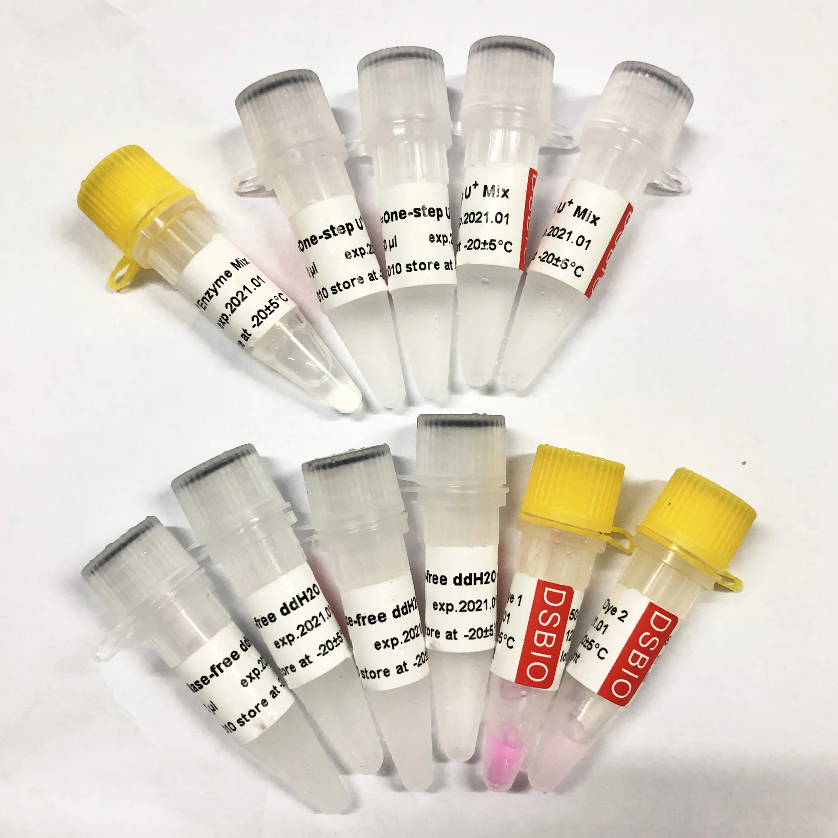 One-step Probe RT-qPCR Kit  V5002, 5000RXN