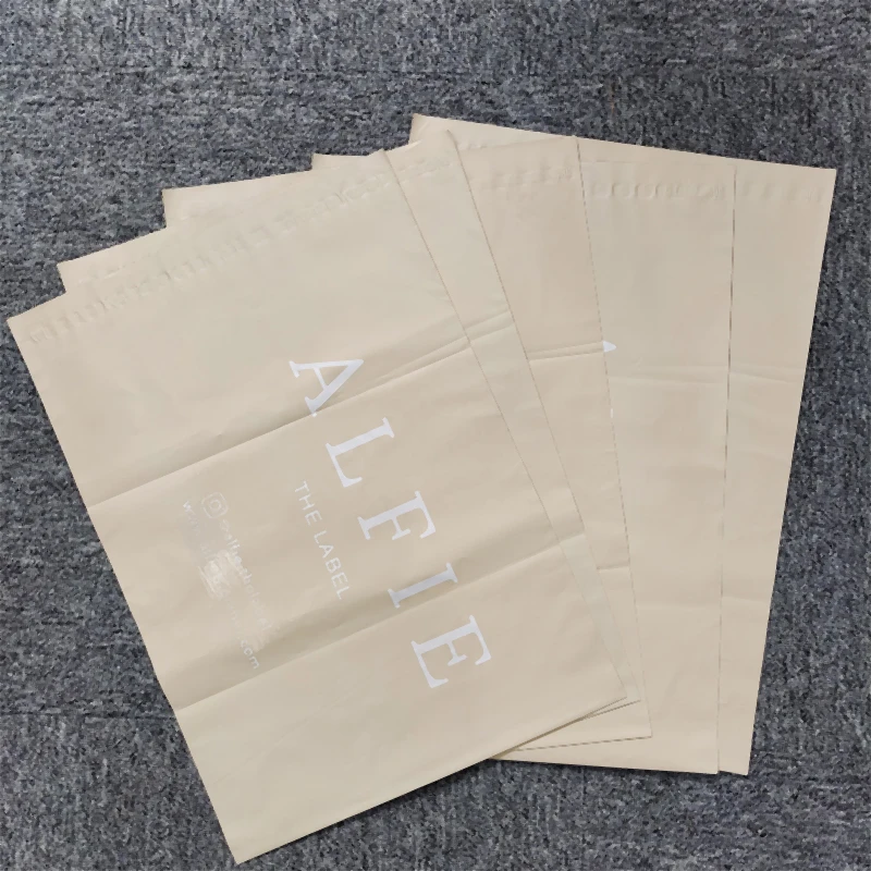 Plastic Branded Packing Mailing Bag Design Custom Printed Shipping Poly Mailers for