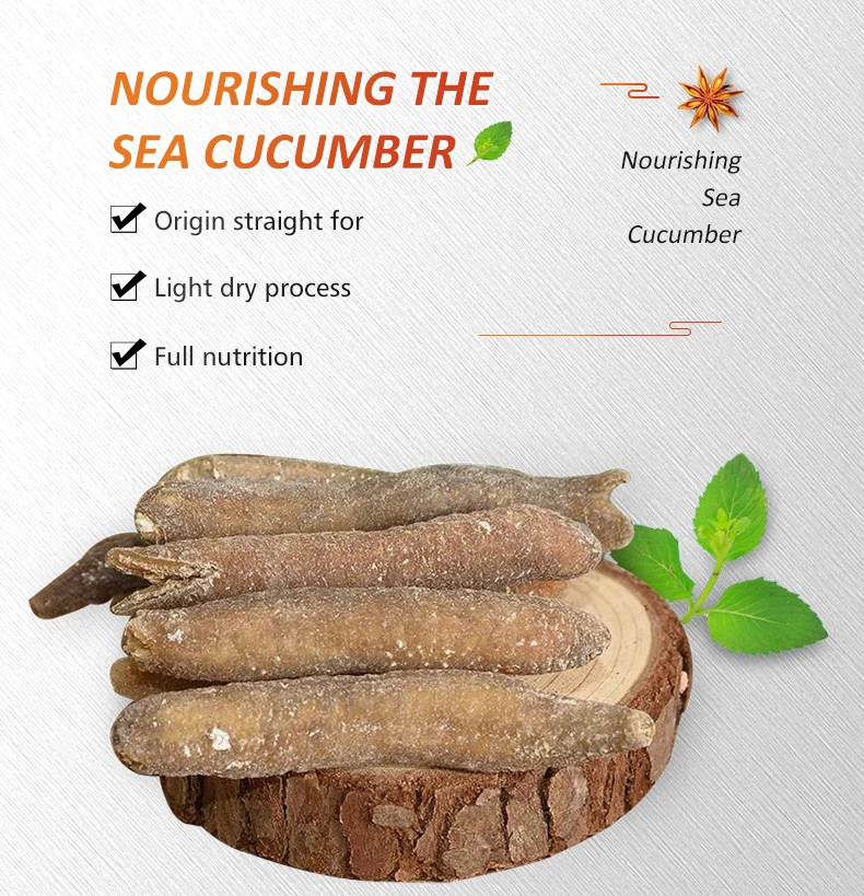 dried sea cucumber