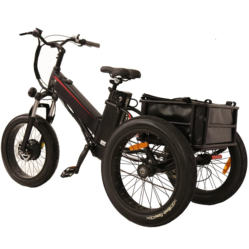 Adult Three 3 Wheel E Tricycle E-Bike Electrische Bakfiets Ebike Dutch Germany Electric Cargo Delivery Bike Bicycle