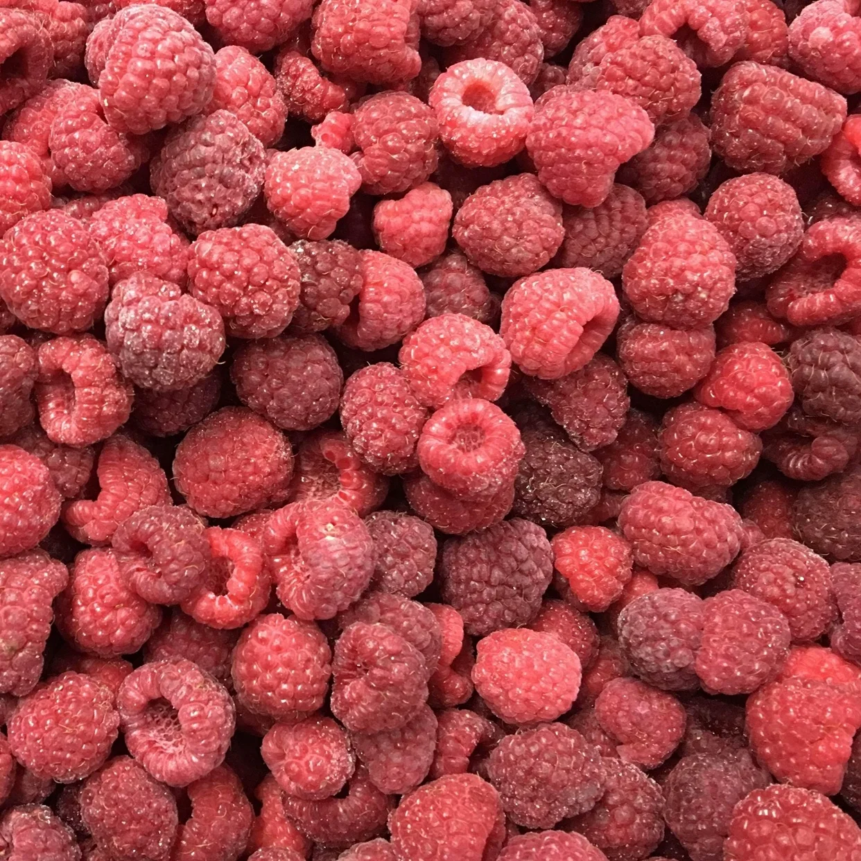 Wholesale Bulk Supplier IQF Frozen Whole Raspberries
