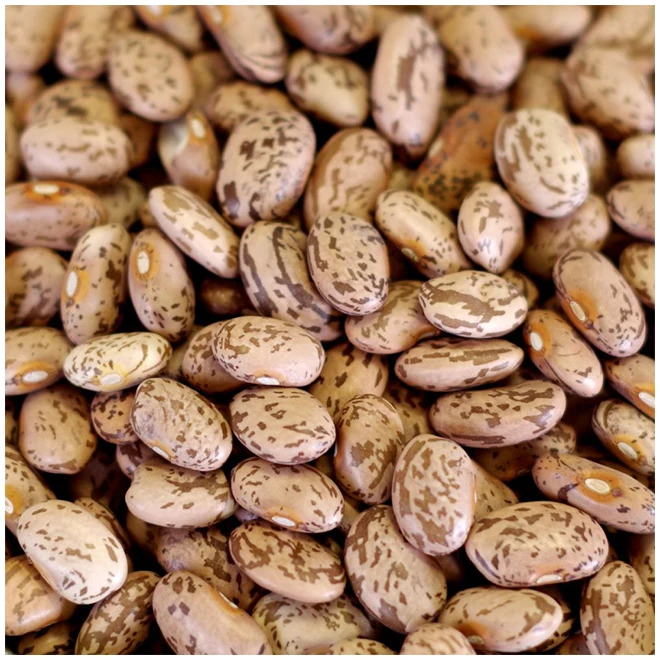 New Premium Pinto Beans-высокое качество Лучшая цена непосредственно от производителя