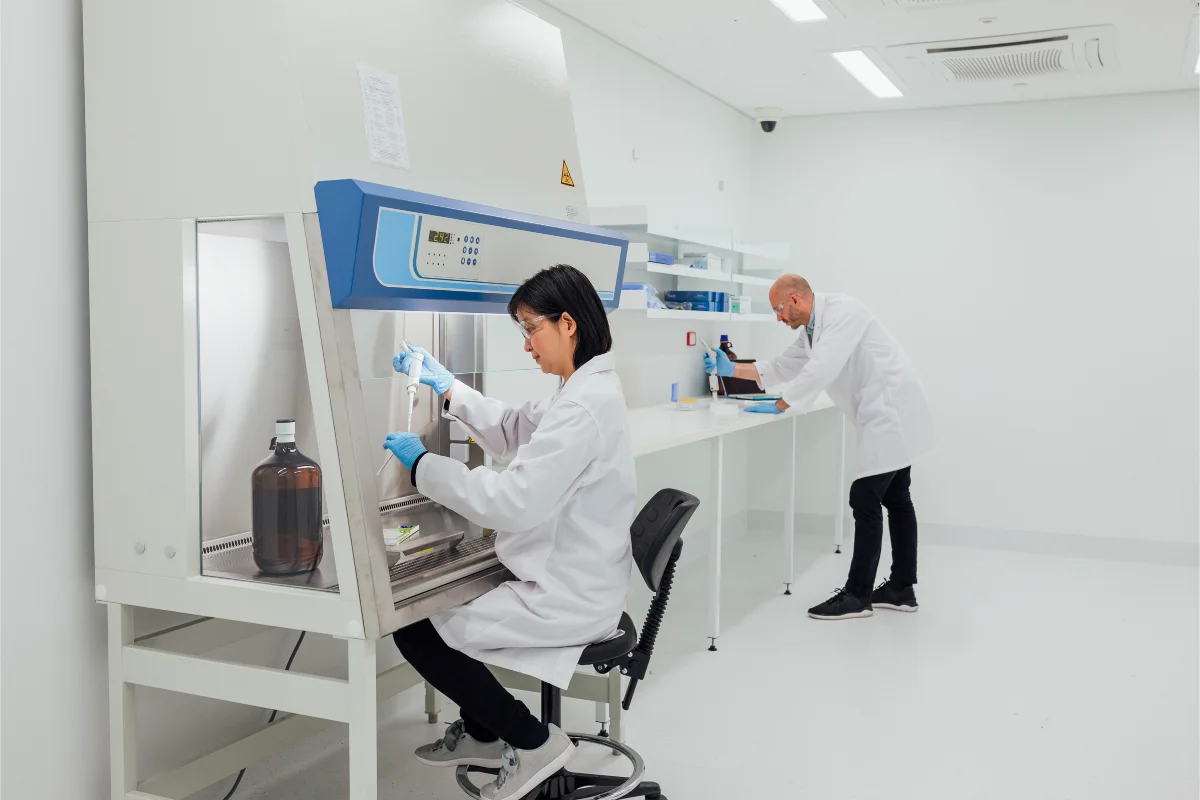 Wholesale Transparent UV Proof Color-Changing TPU PPF Car Wrap Vinyl Automotive Paint Protective Clear Film Universal Car Body