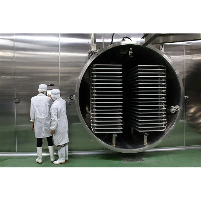 Полуавтоматическая сушилка для фруктов и овощей, Вакуумная сушилка для фруктов и еды, сублимационная сушилка конденсата