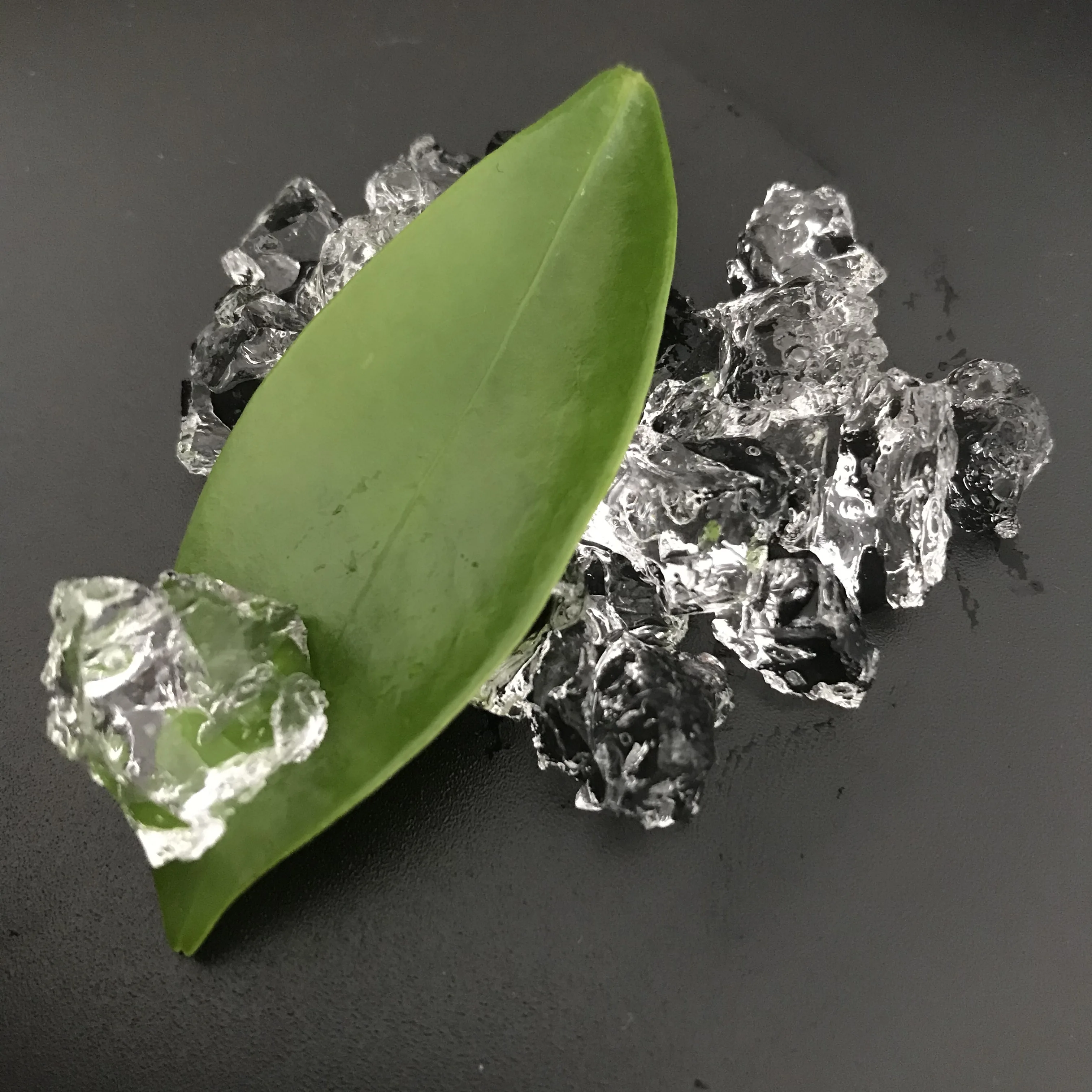 Horticulture water solid rain based potassium polyacrylate agro hydrogel for Magnolia flower CAS 9003-04-7 famer