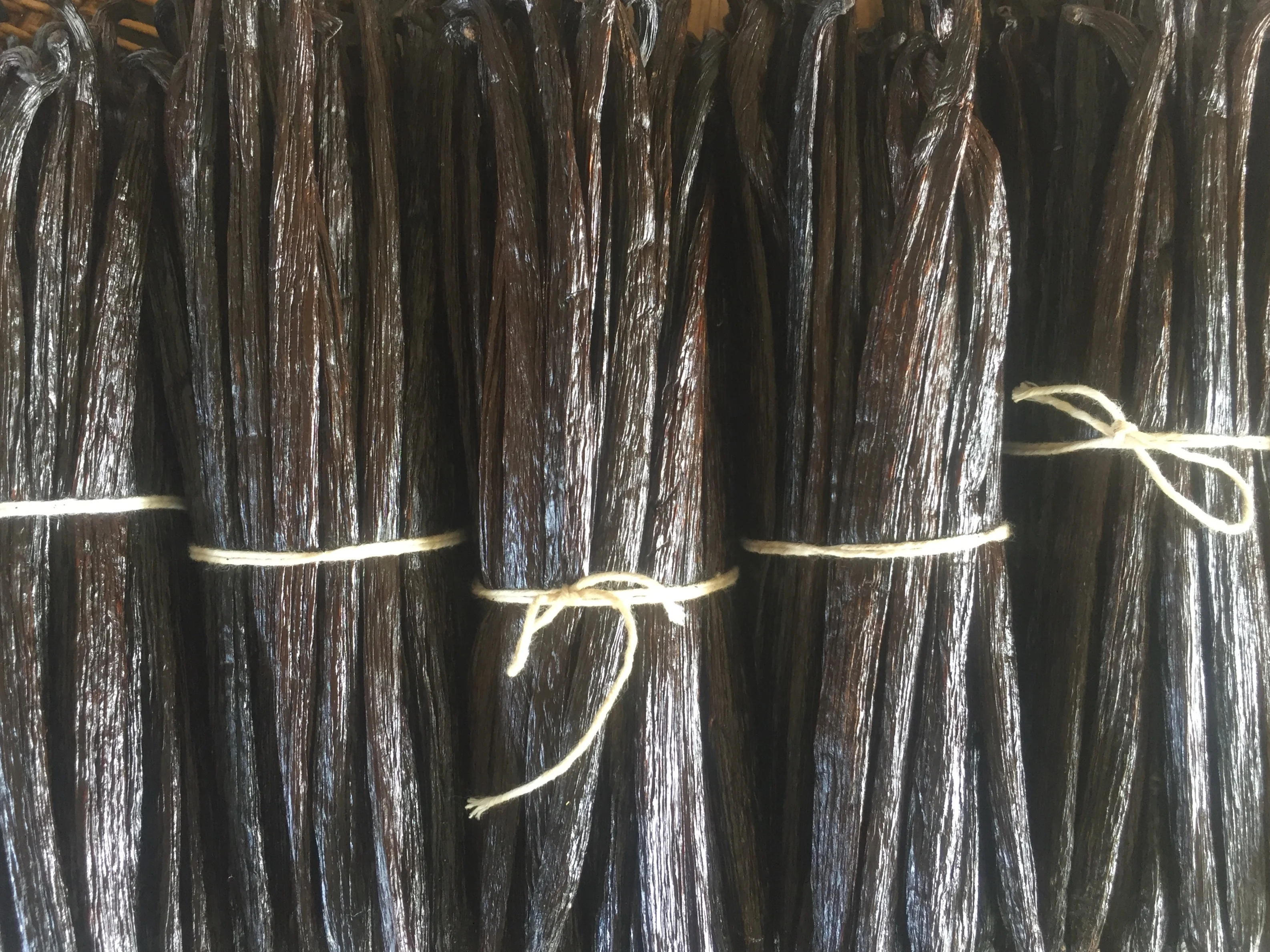 RENDAH TAHITENSIS GOURMET 20-22 CM VANILLA BEANS  Premium Quality Indonesian Hot Selling Vanilla Pods with Reasonable Best Price