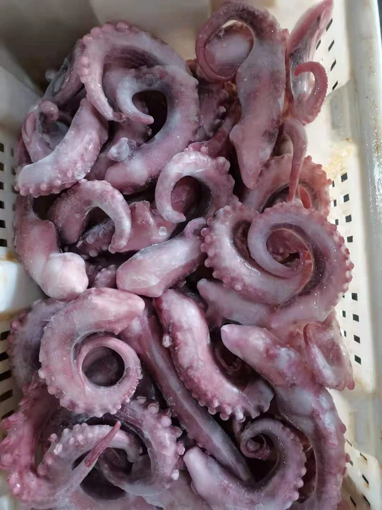 Factory Supply Attractive Price Frozen Squid Tentacle Dice Seafood Importer squid snack seafood china