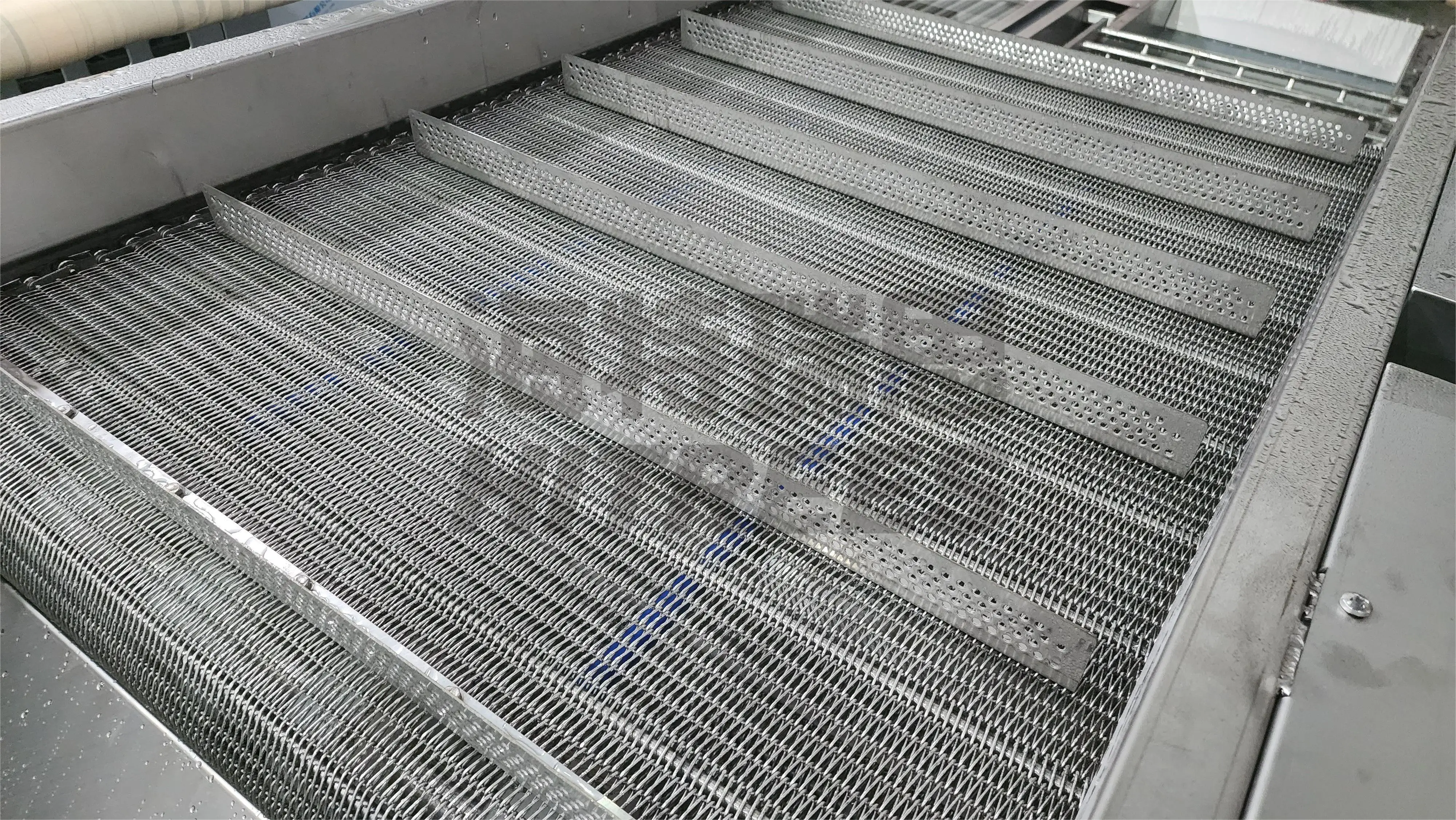 Good Quality Scallop Abalone Shrimp Ice Glazing Machine Meat Ball Prawn Ice Coating Machine for Seafood Processing Plant