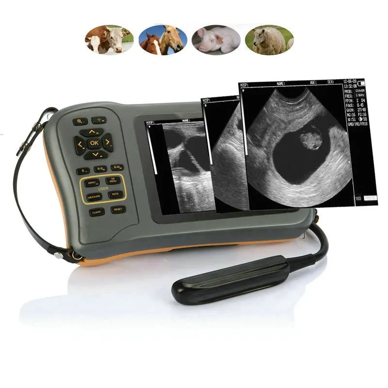 Veterinary farm animal ultrasound scanner FarmScan L60 portable echo ultrasound for cow pig sheep horse scanning