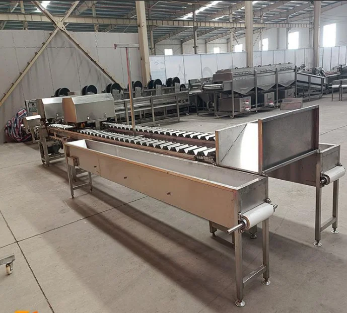 Waxy corn cooking cooling processing line corn kernels cooking machine large continuous cooking machine