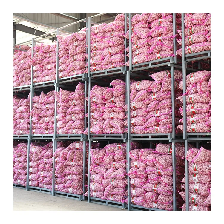 5.5 cm  fresh normal white garlic wholesale with Global Gap&Haccp 20kg mesh bag high quality garlic export with GLOBAL GAP