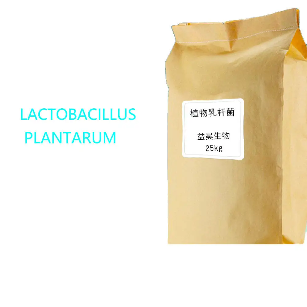 Factory Price Improve Immunity Lactobacillus Plantarum Powder Feed Additives For Chickens