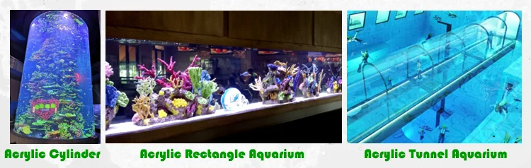 PG Acrylic Tunnel.png