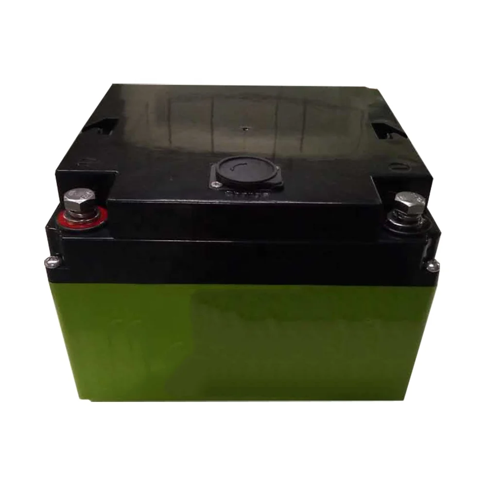 Глубокие циклы lifepo4 20ah 25ah батареи 12v 30ah литий-полимерный литиевый Электрический аккумурятор для игры в гольф тележка с зарядным