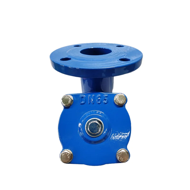 Customization High Quality Sanitary Strainer Steel Wcb Y Type Flanged Strainer DIN3202 F1 Y Type Strainer