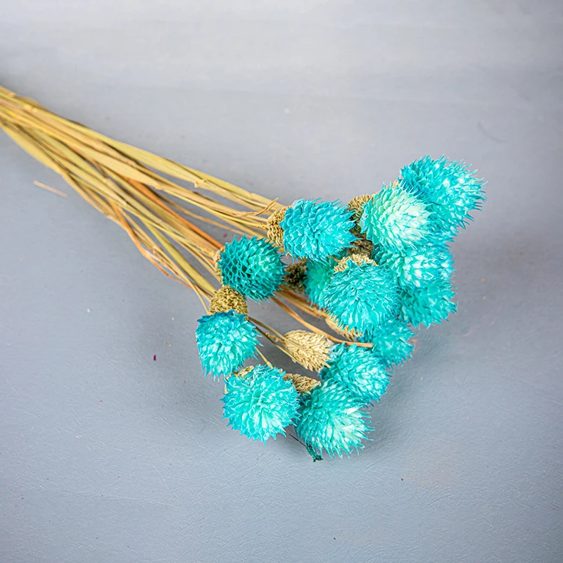 Chasewin Germany Australia top sale dried flowers real decorative flowers globe amaranth packing 15pcs each bag