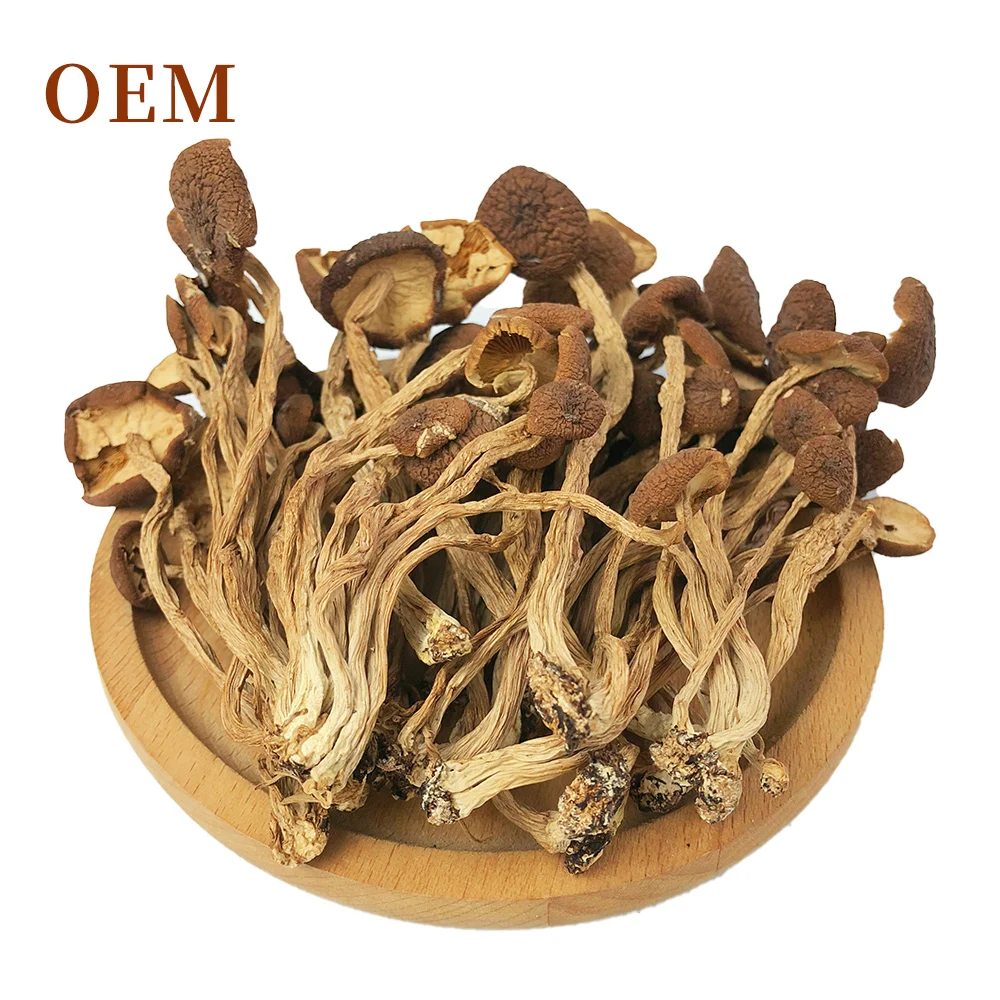 Top Quality Delicious White Edulis Frozen Black OEM KOSHER Style Mushrooms Color Stem Weight Shelf Origin Type Certificate Life