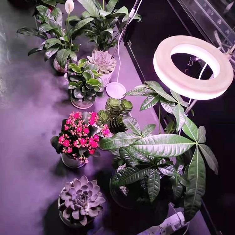 Seed Starting 12W Plug-in Pot Vertical Grow Light  LED For Indoor Plants