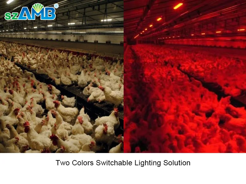 Two color switchable.jpg