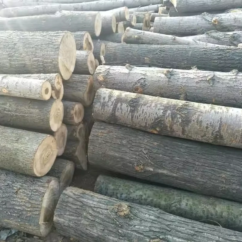 paulownia timber wood price M3 4X8 1220X2440MM Solid wood board