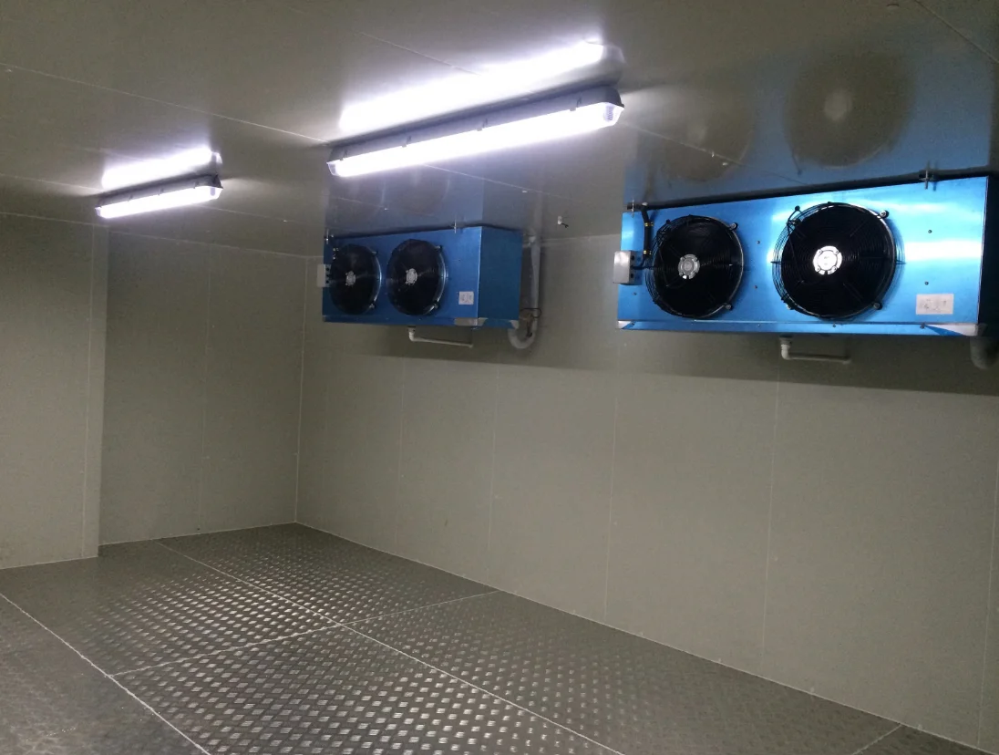Glass door walk in cooler fridge room, ultra freezer chillers, freezer room cold room for meat