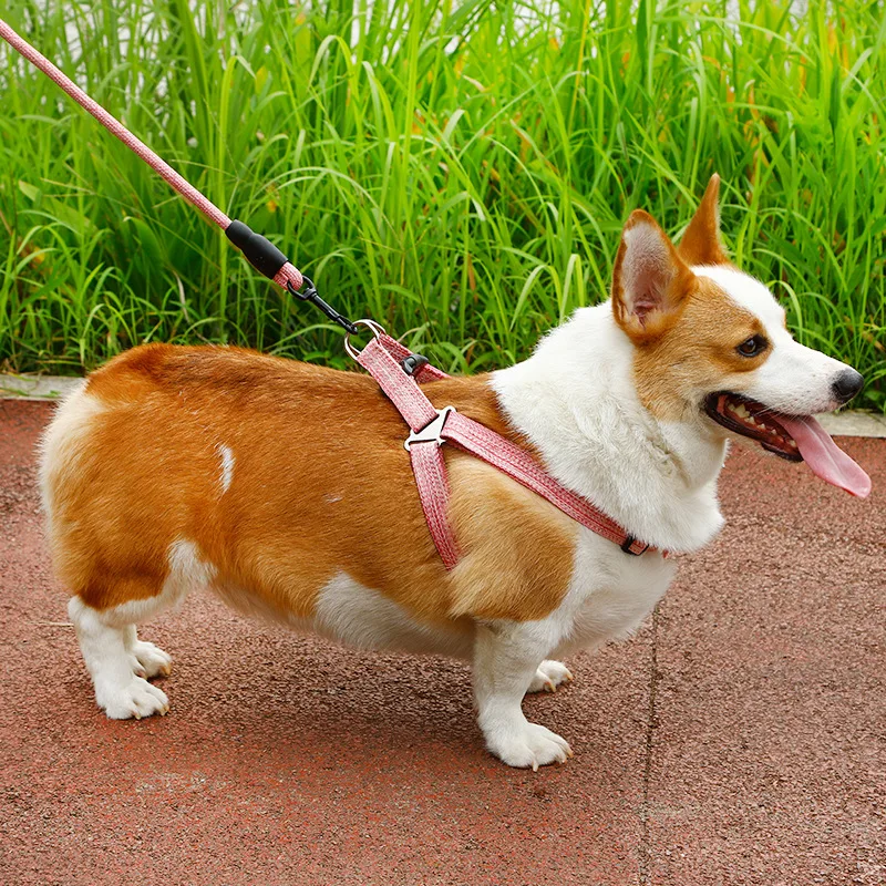 New Invention Products Strong Anti-Slip Grip Dog Leash Training Running Durable Pet Leash with Easy to Use Collar Hook