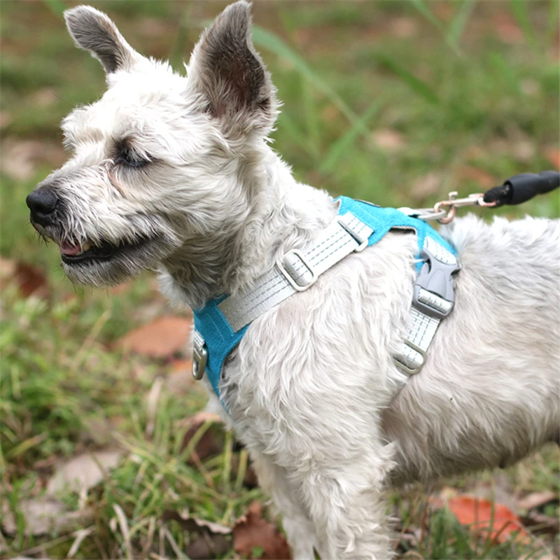 Lamb  Best Seller Adjustable High End Durable Safty Pet Vest Adjustable Reflective Soft Dog Harness
